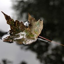 Tod und Sterben Tod und Sterben