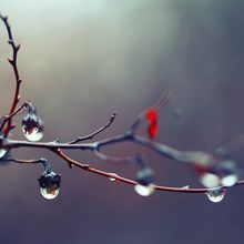 Trauer und Trost Trauer und Trost