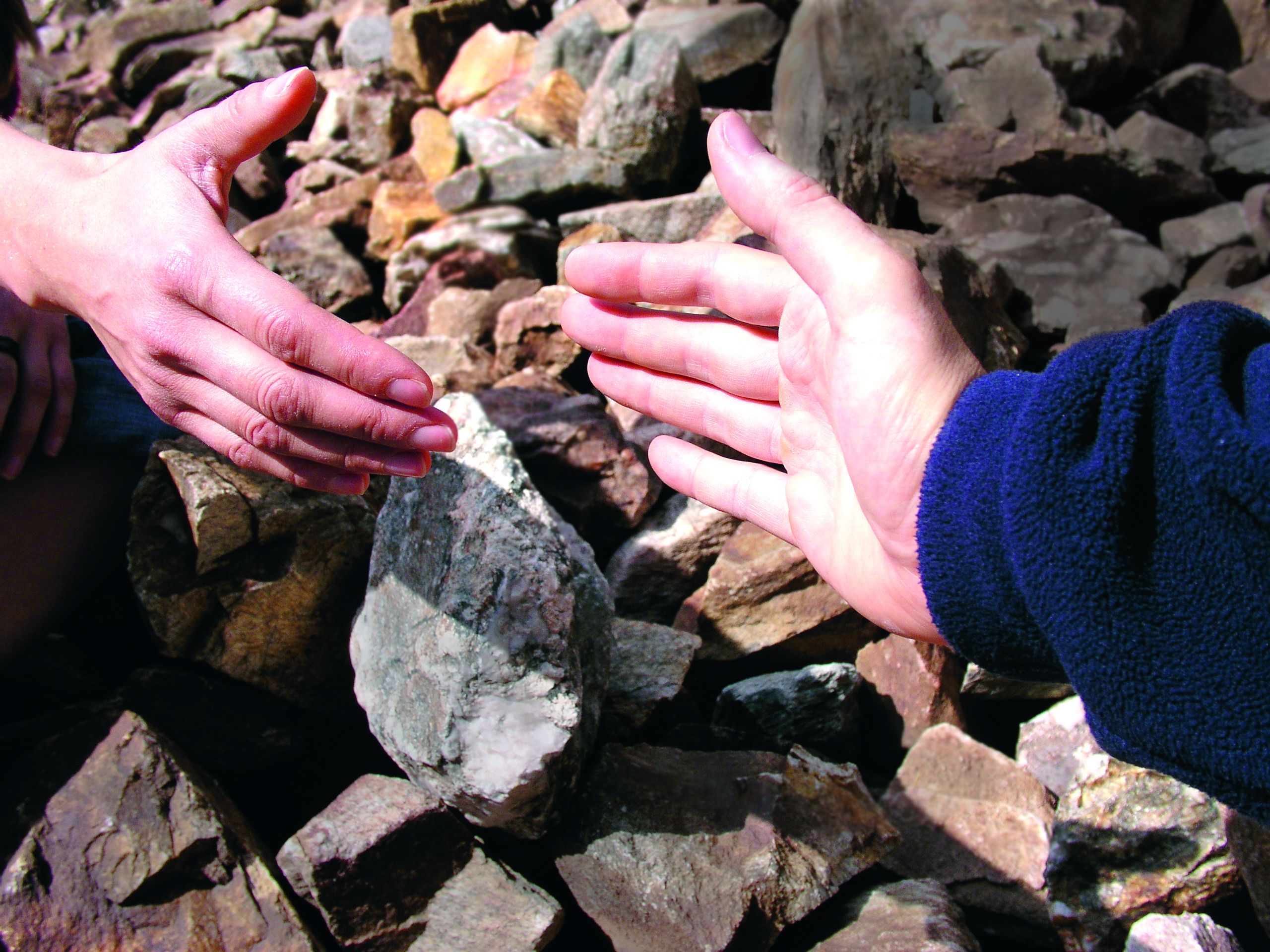 Caritas-Dienste Caritas-Dienste