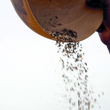 Lebensmittelverschwendung Lebensmittelverschwendung